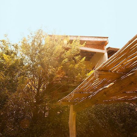 Casa Huijazoo Nature & Balance Hotel Mazunte Exterior photo